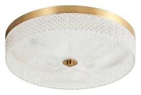 Накладной светильник Arti Lampadari Viro Viro L 1.13.35x9 G в Сургуте - surgut.ok-mebel.com | фото