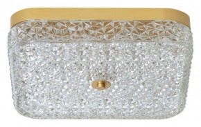 Накладной светильник Arti Lampadari Viro Viro L 1.13.36x36 G в Сургуте - surgut.ok-mebel.com | фото