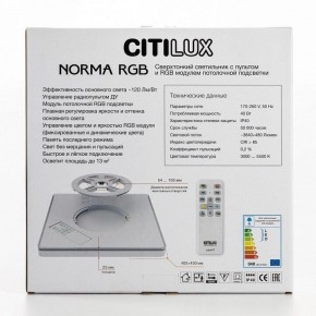 Накладной светильник Citilux Norma CL749K301 в Сургуте - surgut.ok-mebel.com | фото 10