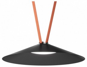 Накладной светильник Denkirs Belty Flow DK5568-BK в Сургуте - surgut.ok-mebel.com | фото 2