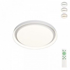 Накладной светильник Denkirs Cany DK6515-WH в Сургуте - surgut.ok-mebel.com | фото 2