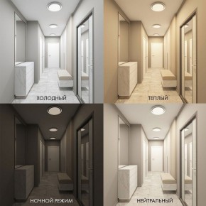 Накладной светильник Denkirs Cany DK6516-WH в Сургуте - surgut.ok-mebel.com | фото 2
