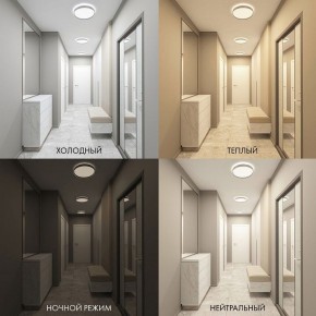 Накладной светильник Denkirs PLATO DK6510-WH в Сургуте - surgut.ok-mebel.com | фото 2