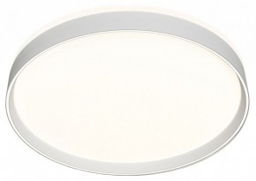 Накладной светильник Denkirs PLATO DK6511-WH/1 в Сургуте - surgut.ok-mebel.com | фото