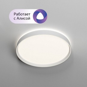 Накладной светильник Denkirs PLATO DK6511-WH/1 в Сургуте - surgut.ok-mebel.com | фото 3