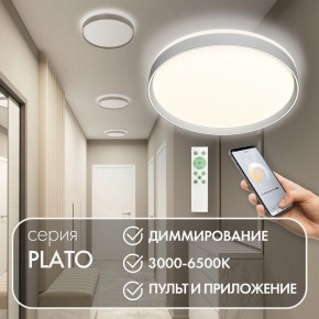 Накладной светильник Denkirs PLATO DK6511-WH/1 в Сургуте - surgut.ok-mebel.com | фото 4