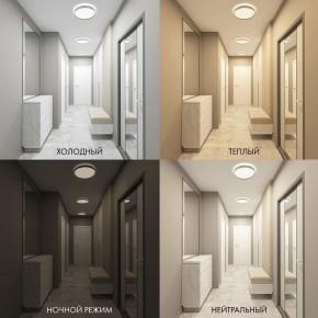 Накладной светильник Denkirs PLATO DK6511-WH/1 в Сургуте - surgut.ok-mebel.com | фото 5