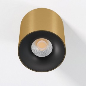 Накладной светильник Elektrostandard Primo 25116/LED в Сургуте - surgut.ok-mebel.com | фото 2