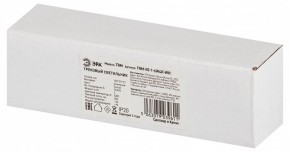 Накладной светильник Эра  TRM-S5-1-6W4K-WH в Сургуте - surgut.ok-mebel.com | фото 6