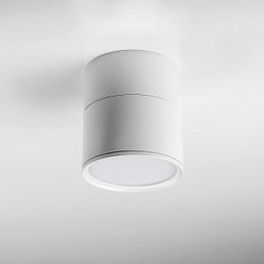 Накладной светильник Lightstar Acuto 215886 в Сургуте - surgut.ok-mebel.com | фото 3