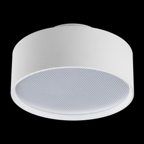 Накладной светильник Lightstar Acuto 215946 в Сургуте - surgut.ok-mebel.com | фото 4