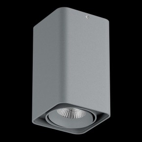 Накладной светильник Lightstar Monocco 052139-IP65 в Сургуте - surgut.ok-mebel.com | фото 2