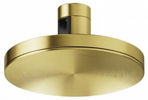Накладной светильник Maytoni Plato TR152-1-7W4K-BS в Сургуте - surgut.ok-mebel.com | фото
