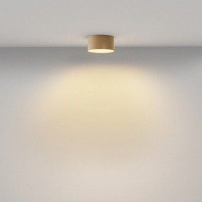 Накладной светильник Maytoni Zon C032CL-12W2.7K-RD-MG в Сургуте - surgut.ok-mebel.com | фото 4