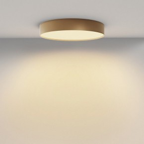 Накладной светильник Maytoni Zon C032CL-45W2.7K-RD-MG в Сургуте - surgut.ok-mebel.com | фото 4