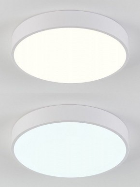 Накладной светильник Natali Kovaltseva  LED LAMPS 81111/5C в Сургуте - surgut.ok-mebel.com | фото 4
