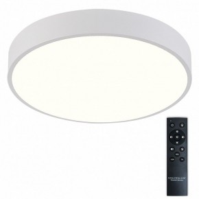 Накладной светильник Natali Kovaltseva  LED LAMPS 81112/5C в Сургуте - surgut.ok-mebel.com | фото 2