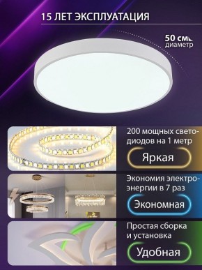 Накладной светильник Natali Kovaltseva  LED LAMPS 81112/5C в Сургуте - surgut.ok-mebel.com | фото 4