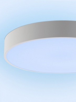 Накладной светильник Natali Kovaltseva MODERN LED LAMPS 81105/1C в Сургуте - surgut.ok-mebel.com | фото 11