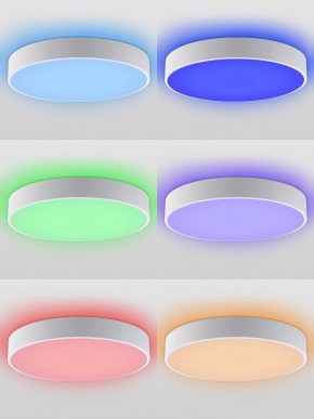 Накладной светильник Natali Kovaltseva MODERN LED LAMPS 81105/1C в Сургуте - surgut.ok-mebel.com | фото 4