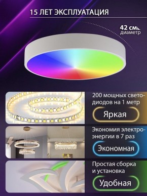 Накладной светильник Natali Kovaltseva MODERN LED LAMPS 81105/1C в Сургуте - surgut.ok-mebel.com | фото 6