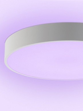 Накладной светильник Natali Kovaltseva MODERN LED LAMPS 81105/1C в Сургуте - surgut.ok-mebel.com | фото 9