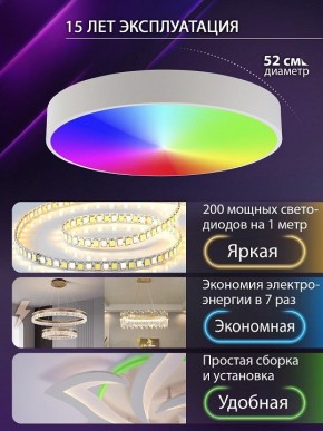 Накладной светильник Natali Kovaltseva MODERN LED LAMPS 81105/2C в Сургуте - surgut.ok-mebel.com | фото 6