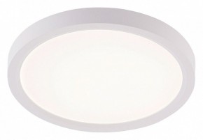 Накладной светильник Natali Kovaltseva PLAIN LED LAMPS 81113/1C в Сургуте - surgut.ok-mebel.com | фото