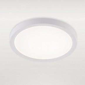Накладной светильник Natali Kovaltseva PLAIN LED LAMPS 81113/1C в Сургуте - surgut.ok-mebel.com | фото 2