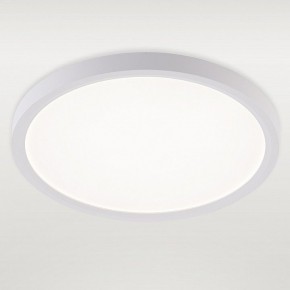 Накладной светильник Natali Kovaltseva PLAIN LED LAMPS 81113/2C в Сургуте - surgut.ok-mebel.com | фото 2