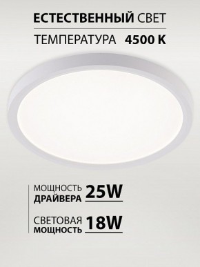 Накладной светильник Natali Kovaltseva PLAIN LED LAMPS 81113/2C в Сургуте - surgut.ok-mebel.com | фото 3