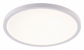 Накладной светильник Natali Kovaltseva PLAIN LED LAMPS 81113/3C в Сургуте - surgut.ok-mebel.com | фото