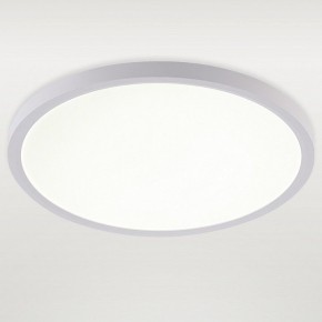 Накладной светильник Natali Kovaltseva PLAIN LED LAMPS 81113/3C в Сургуте - surgut.ok-mebel.com | фото 2
