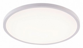 Накладной светильник Natali Kovaltseva PLAIN LED LAMPS 81113/5C в Сургуте - surgut.ok-mebel.com | фото