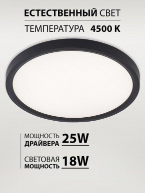 Накладной светильник Natali Kovaltseva PLAIN LED LAMPS 81114/2C в Сургуте - surgut.ok-mebel.com | фото 3