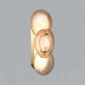 Накладной светильник Odeon Light Agate 7065/10WL в Сургуте - surgut.ok-mebel.com | фото 2