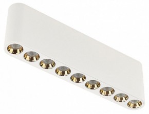 Накладной светильник Odeon Light Small 7091/21CL в Сургуте - surgut.ok-mebel.com | фото