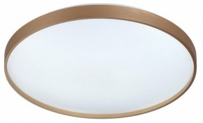 Накладной светильник Sonex Gaby 7783/EL в Сургуте - surgut.ok-mebel.com | фото 4