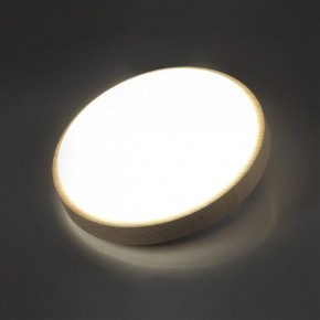 Накладной светильник Sonex Losta 7607/AL в Сургуте - surgut.ok-mebel.com | фото 3