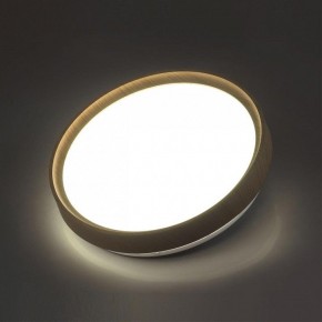 Накладной светильник Sonex Woodi 7603/CL в Сургуте - surgut.ok-mebel.com | фото 3