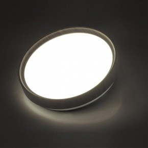Накладной светильник Sonex Woodi 7627/CL в Сургуте - surgut.ok-mebel.com | фото 3