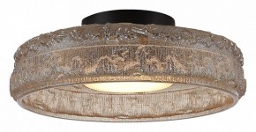 Накладной светильник ST-Luce ANTIKE SL6143.422.01 в Сургуте - surgut.ok-mebel.com | фото 3
