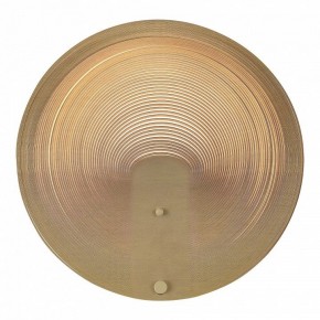 Накладной светильник ST-Luce Fossil SL6900.501.16 в Сургуте - surgut.ok-mebel.com | фото 2