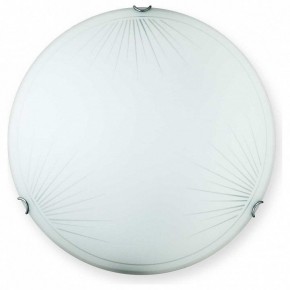 Накладной светильник TopLight Wifa TL9142Y-00WH в Сургуте - surgut.ok-mebel.com | фото