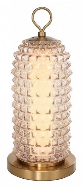 Настольная лампа декоративная ST-Luce SAGUARO SL6144.304.01 в Сургуте - surgut.ok-mebel.com | фото 2