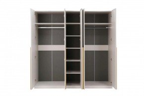 НИКОЛЬ 25 Шкаф 5-ти створчатый в Сургуте - surgut.ok-mebel.com | фото 3