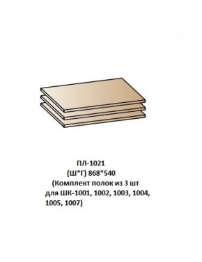 ПЛ-1021 (Комплект полок из 3 шт для ШК-1001, 1002, 1003, 1004, 1005, 1007) в Сургуте - surgut.ok-mebel.com | фото