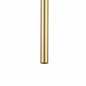 Подвесная люстра Lightstar Tubo L3T747343 в Сургуте - surgut.ok-mebel.com | фото 5