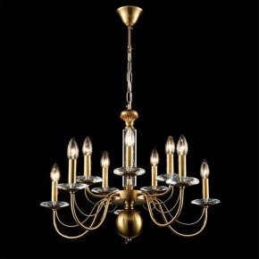 Подвесная люстра Lumion Incanto 8033/10 в Сургуте - surgut.ok-mebel.com | фото 4