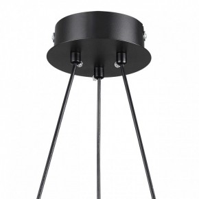 Подвесная люстра Lumion Lamina 8233/6 в Сургуте - surgut.ok-mebel.com | фото 8